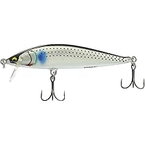 Amazon.co.jp: Rapala(ラパラ) ミノー ソルトウォーター Xラップ